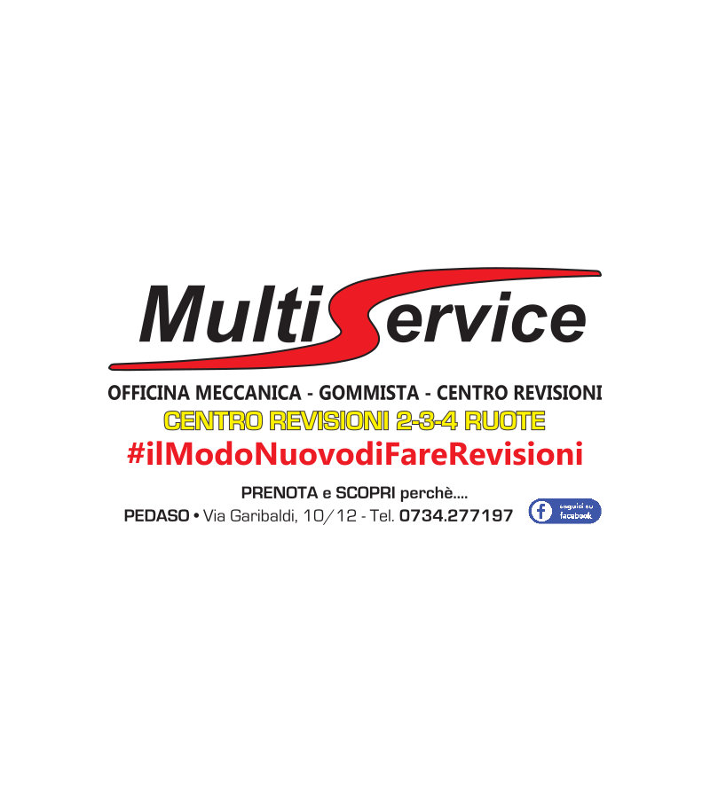 MULTI SERVICE 2013